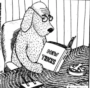 50 Year old software old dog new tricks