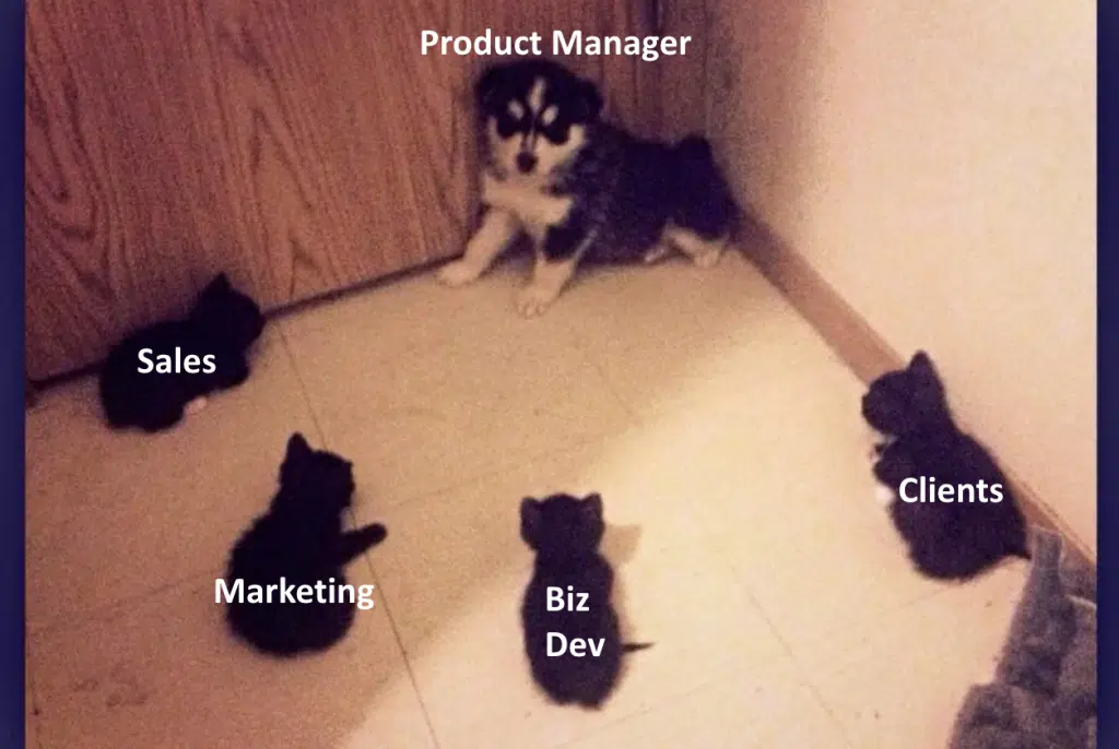 Product Management Memes Volume 2