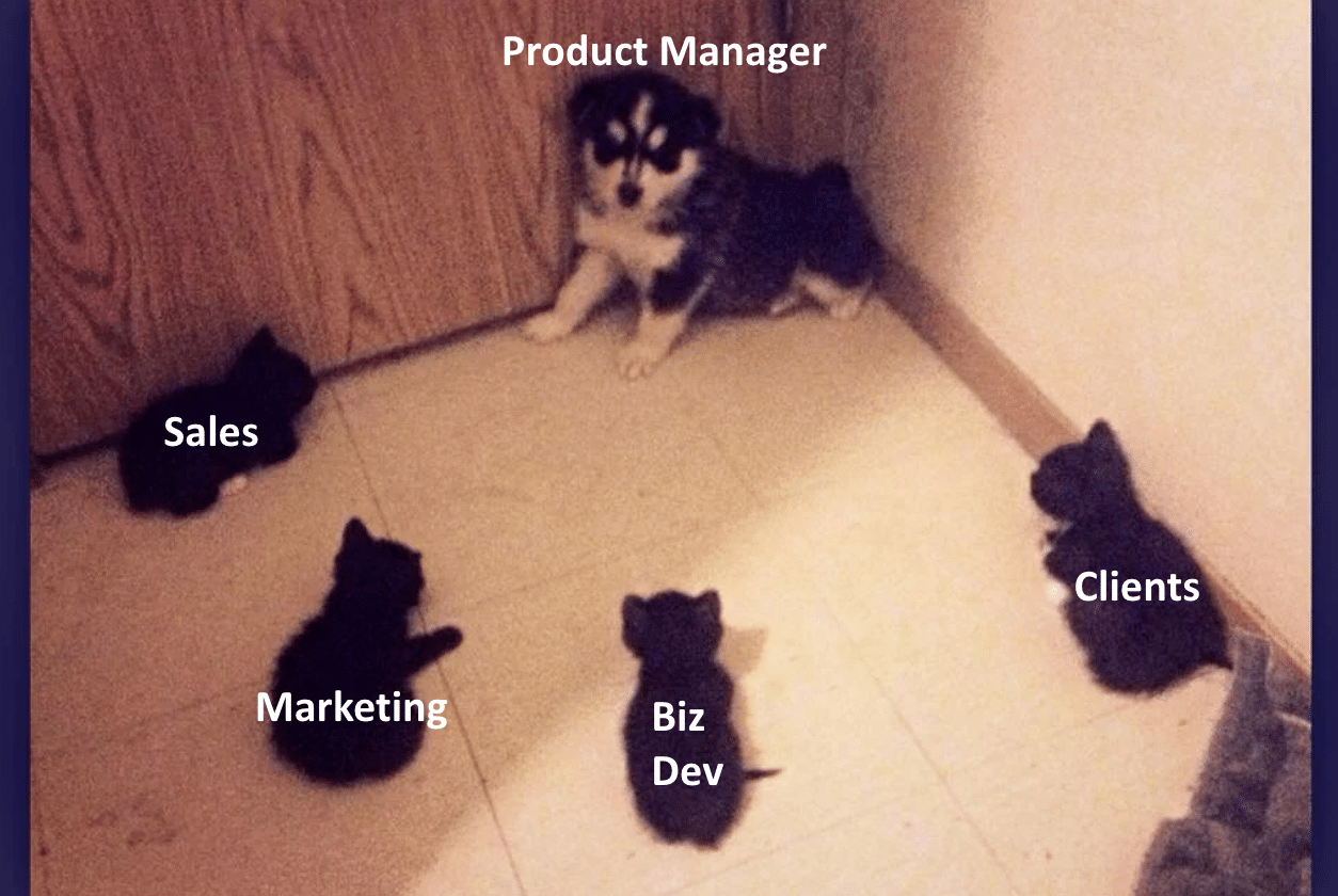 Product Management Memes