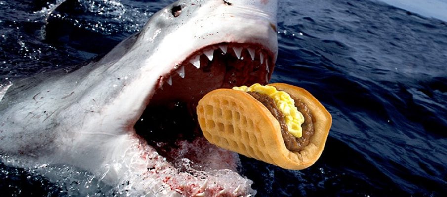 Jumping Taco Shark