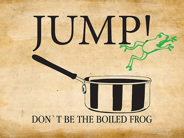 boiled frog