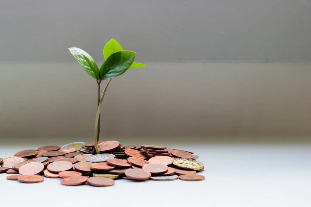 How Professional Services Can Grow Net Dollar Retention