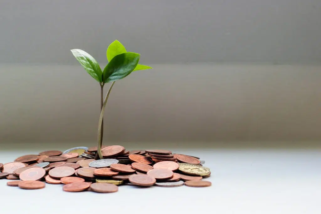 How Professional Services Can Grow Net Dollar Retention