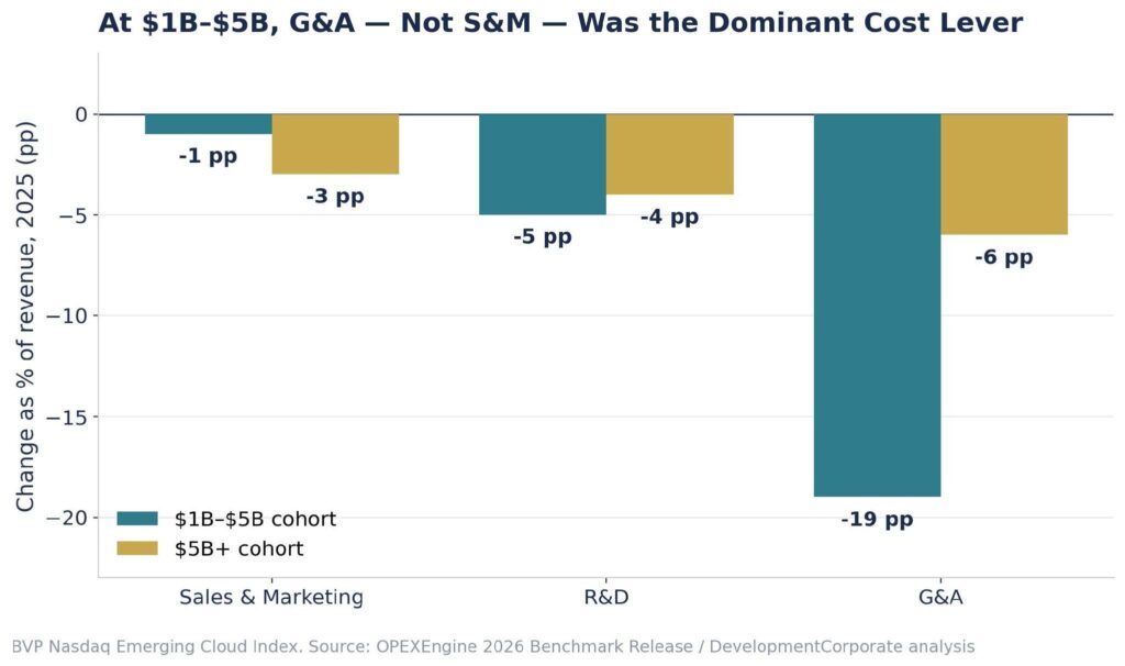 Large company SaaS expense cuts by function 2025
